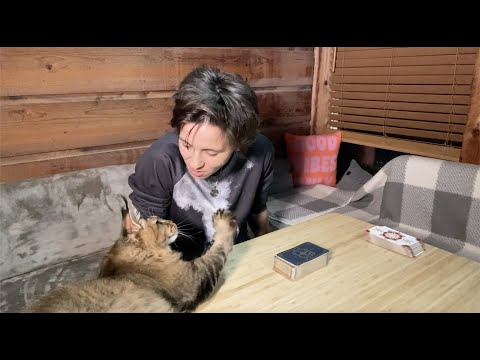 ALL SIGNS - CURRENT ENERGIES CHECK IN,No Clarification (Weekend OCTOBER 29TH - 31ST)