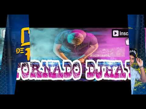 MC MIRELLA_ CHEFE CORINGA E MC LAIFINHO - CRIA DE  FAVELA ( MÚSICA NOVA 2K19 )