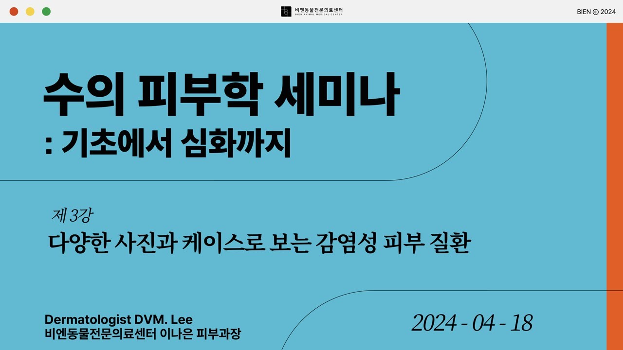 비엔 수의 피부학 세미나 3강 : 다양한 사진과 케이스로 보는 감염성 피부 질환 240418