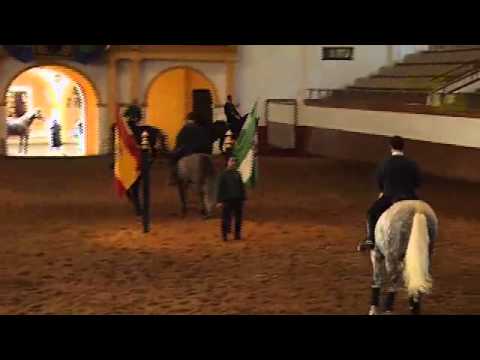 Tipp: Hofreitschule Jerez de la Frontera, Andalusien | Spanien