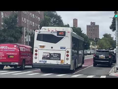 MTA Bus || NG #4389 on the Q69