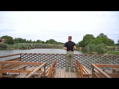 ODMOR U INDJIJI   Кarlova bara   Inđija