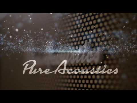 PURE ACOUSTICS The top 10 greatest speakers