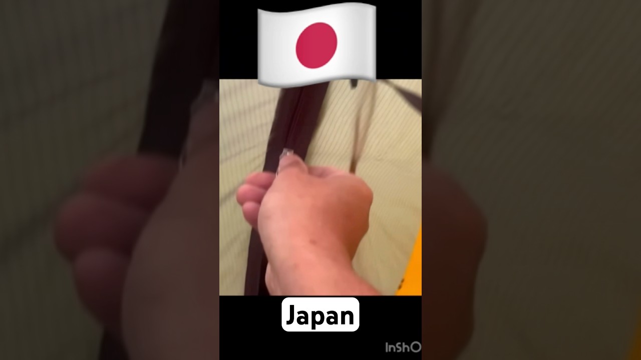 #日本とロシアの違い #jokes #日本 #ロシア  #russia #deutschland #russland #shorts #fyp