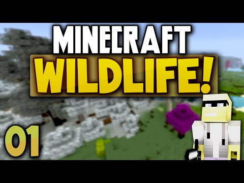 Minecraft Wildlife #01 - Tödlichstes Modpack! :D | raemydany