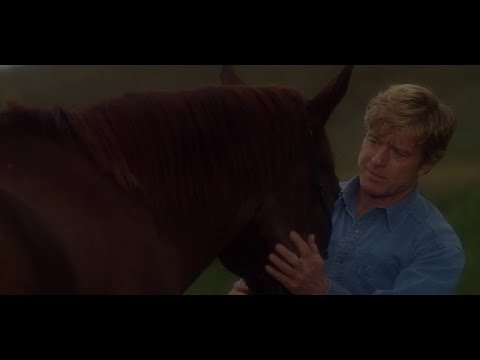 The Horse Whisperer - leave the phone