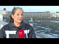 21 dode duiven in centrum Lelystad mogelijk vergiftigd