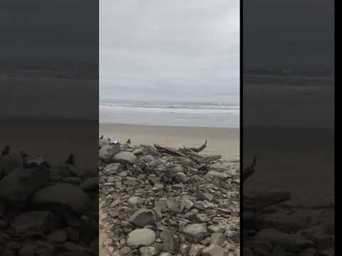 The beach at Cape Lookout. You can see the top of an RV at the end, which was right next to us, so that’s how close we were.