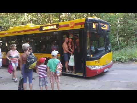 Valgus deformacja stawu kolanowego promieni rentgenowskich Wzrost w sprawie wspólnego palców kciuka