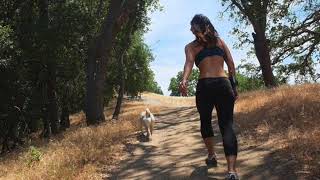 &quot;Please Please Please Let Me Get What I Want&quot; (Cover) - The Smiths