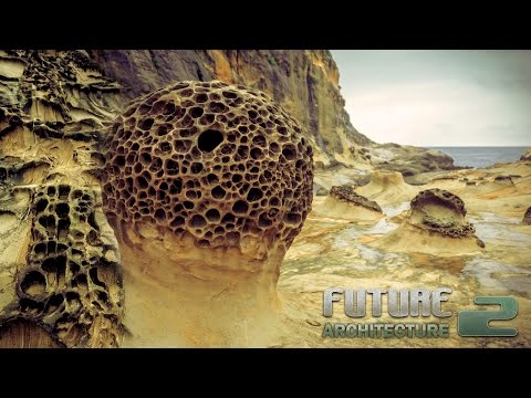 GoaTree - Human Apocalypto