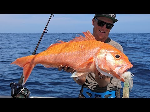 THE HUNT - EP 3 CATCHING RUBY SNAPPER  (DEEP SEA FISHING + SOUNDER BASICS + DEEP DROP RIGS)