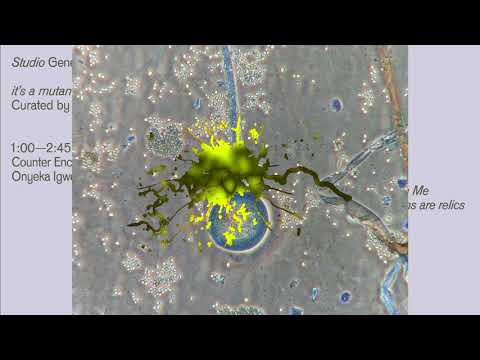 Bill Kouligas, Hypnae