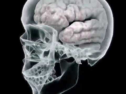 Your Brain on Drugs - Hydrocodone (College Health Guru)
