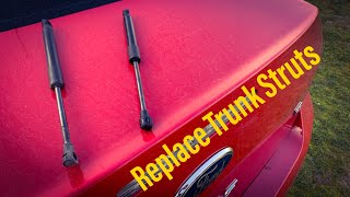 Replace 2000-2011 Ford Focus Trunk Struts