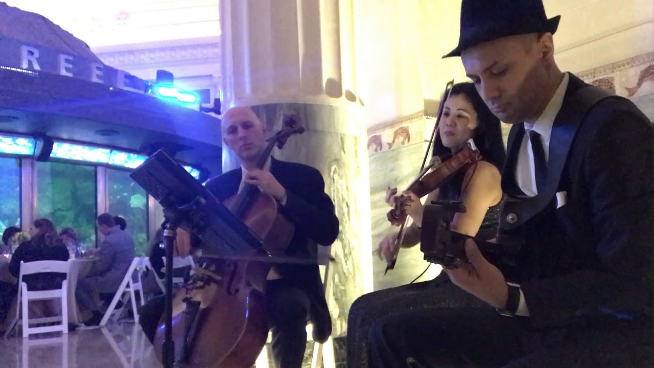 Promotional video thumbnail 10 for Gabriel Datcu - Jazz,Latin,Pop,Top40s  Solo & w/ Ensembles