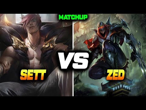 3 LEVEL SETT vs ZED