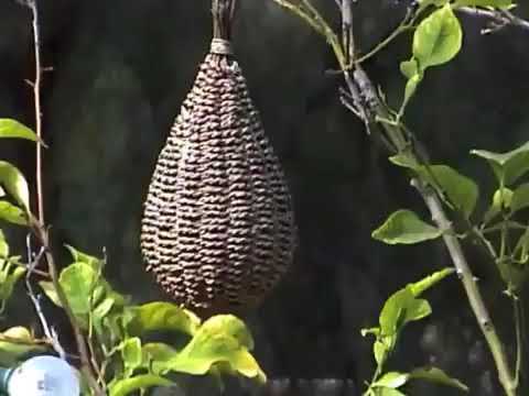 178. TeamSESH VK Video - Part Four [14.09.2017]