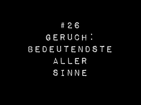 Wie unser Geruchssinn alles beeinflusst! Geruch: der Bedeutendste aller Sinne | Wagemut Taste Academ
