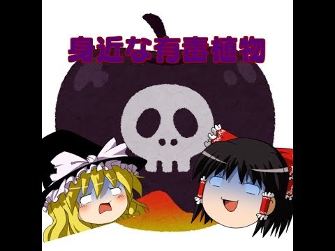 愛する人やペットの命を守るために、庭にある有毒植物を見分ける方法を学びましょう。  庭園