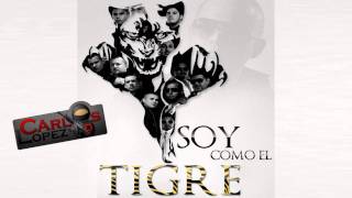 Los Buitres De Culiacan-Soy Como El Tigre(Estudio2011)(Los Nuevos Elegantes, La Fuerza De Tijuana)