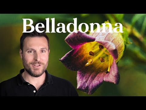 Wie aus der Giftpflanze Belladonna ein Heilmittel wurde | Patrick Kelly
