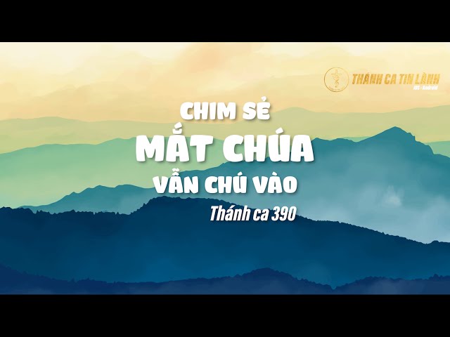THÁNH CA 390 | CHIM SẺ MẮT CHÚA VẪN CHÚ VÀO | KARAOKE THÁNH CA TIN LÀNH