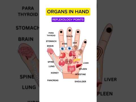 ORGANS IN HAND/REFLEXOLOGY POINTS #viral #reflexology #points #hands
