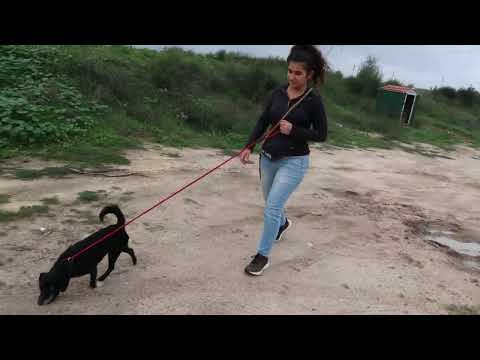 Vídeo de PER