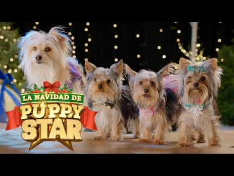 Música la navidad de puppy star. “Let’s Make Everyday Like Christmas”