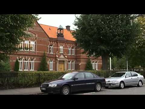 Polisbilsolyckan i Härskogen utanför Göteborg Uppdrag granskning 2006