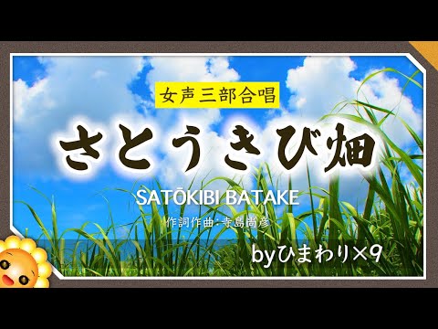 さとうきび畑（♬ざわわざわわ〜）byひまわり×9【合唱】フルバージョン 歌詞付き｜8/15終戦記念日