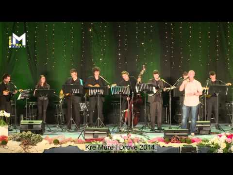 Saša Štefić Sale uz TS Frikovi - Iskal sam te iskal (festival Kre Mure i Drove, Prelog 2014)