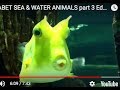 ALPHABET SEA WATER ANIMALS Part 3 Educational Children Video