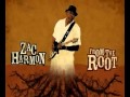 14 - Man Is Not Meant To Be Alone - Zac Harmon ...