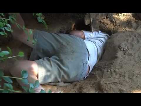 BUSY  & ZOOM 2009 - 1) BUSY BUILDS A DEN