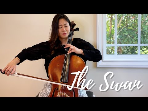 Saint-Saëns: The Swan (Cello and Piano) - Jennifer Park