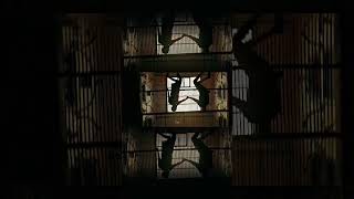 Download lagu nine|akale|lyrics|edit|@_zeus__lyrics_10#malayalammovie #kerala #malayalamcinema #malayalam #mallu mp3 Download lagu nine|akale|lyrics|edit|@_zeus__lyrics_10#malayalammovie #kerala #malayalamcinema #malayalam #mallu mp3