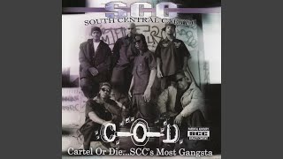 I'm A Rider (King Ov Kingz Remix)