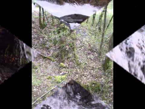 Der Westwall am Rhein von Märkt bis Istein