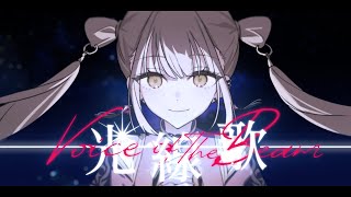 Cover art for kousenka