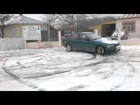 cerculete margaritesti 2