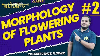 Morphology of Flowering Plants Class 11 Biology NCERT Chapter 5 #2 | Inflorescence, Flower | Atharv