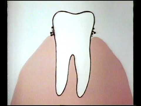 Central Adverts 24th January 1984