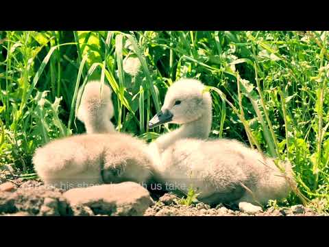 016 SDA Hymn -  All People That on Earth Do Dwell (Singing w/ Lyrics)