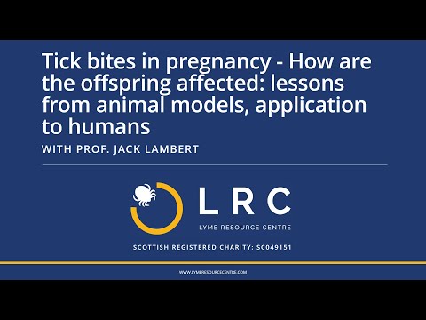 Tick bites in pregnancy - How are offspring affected: lessons from animals, application to humans