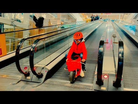 Lustig, Den geht zum Supermarkt für Pizzaprodukte.