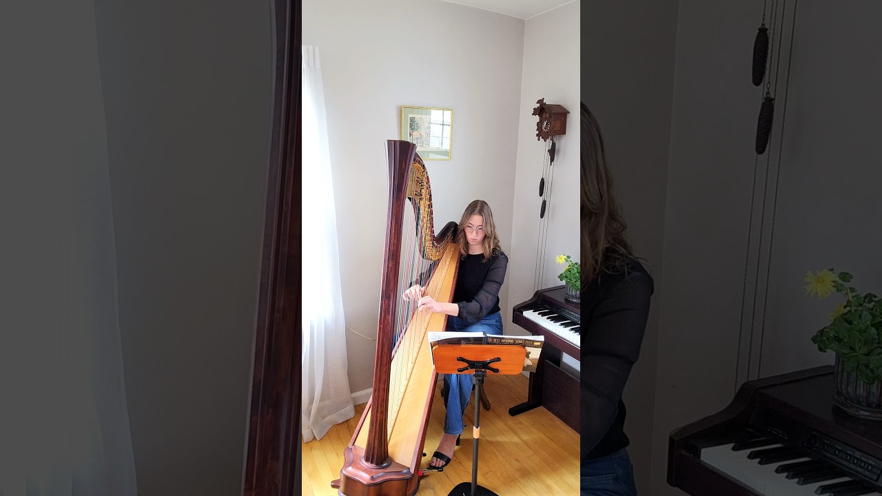 Promotional video thumbnail 1 for Cherry Wood Music