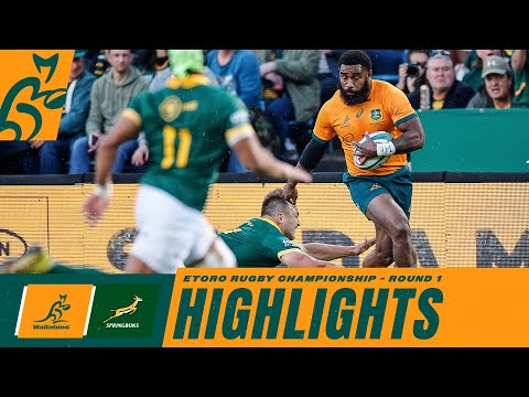 Wallabies vs Springboks Highlights | Rugby Championship Round 1 - 2023