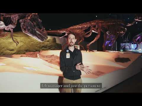 What can modern animals teach us about extinct dinosaurs?